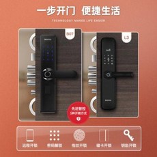 현관 중 문 쇼바 단독 주택 대문 경첩 고급 방범용 1급 모문 별장 대문의 스마트 지문이, 02 [기계식 잠금장치]2050x960mm