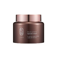 참존 지안 비책 역작 크림 100ml, 1개