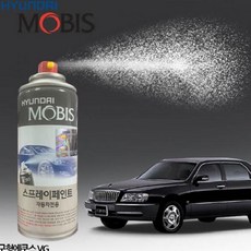 구형에쿠스앰프