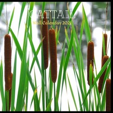 Cattail Wall Calendar 2021: Great gifts ideas for teacher and for special holidays ( Christmas Hall... Paperback, Independently Published