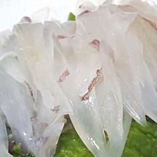 [더자인] 부드럽고 쫄깃한 한치 500g 12미 내외 (7~13미), 1개, 상세 설명 참조