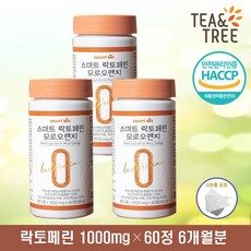 랩익스페디션1000