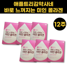 애플트리김약사네 바로 느껴지는 미인콜라겐 6박스 12주분, 6개, 2주분