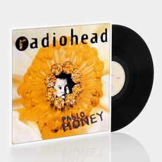 라디오헤드 Radiohead LP - Pablo Honey 파블로허니 바이닐