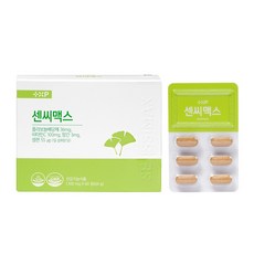 센시 은행잎추출물 혈액순한 기억력 영양제, 1개, 60정