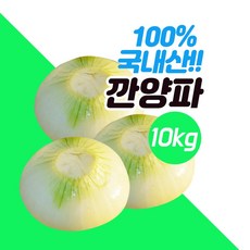 깐양파 10kg 국내산, 1개