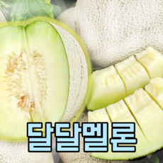 국민농수산 파파야 머스크 메론 멜론 선물세트 포장 하우스 허니듀 세지, 메론 옵션 1번