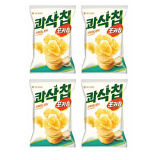 콰삭칩