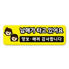 라쿤마켓 차량용 자석 스티커 총29종 초보운전 아이가 타고 있어요 임산부가 타고있어요 강아지가 타고있어요 어르신운전중 혈액형 장애인 도로주행 연수용 탈부착 반사, 11_남매가타고있어요, 1개