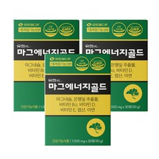유한메디카 마그에너지골드 마그네슘 350mg 손 발 저림 혈행개선 근육통 영양제, 3개, 30정