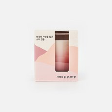 자주캔들