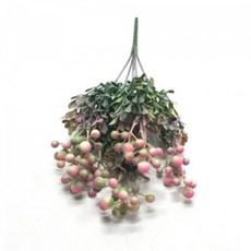 유칼립투스생화리스원데이