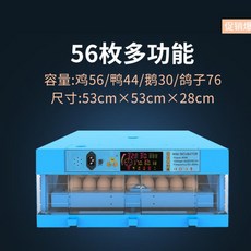 e2f32a9968b1056744f829fa42f463222f24337714f12b1ea2ebdeef2af2.jpg