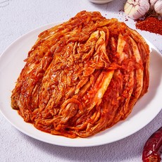 [최저가도전] 당일제조 배추김치 2kg 5kg 10kg