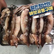 르베르웨건공동구매
