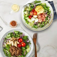 그리팅 [I like Eat] 스윗에그베이컨 & 소불고기버섯샐러드 세트, 6개, 438g