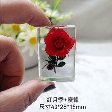 곤충호박