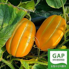 상주참외11kg랜덤