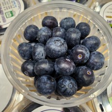 눈에좋은 생 블루베리 당도최고 블루베리, 100g 2팩(14~16mm 내외), 1개