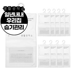 생활공작소 옷걸이형 제습제 점보형, 400g, 10개