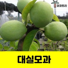 45aaf23e849d95cceb80a2ebe4395b5a45fc4a66a345d49a609a4d76f220.jpg
