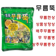 다육이무름
