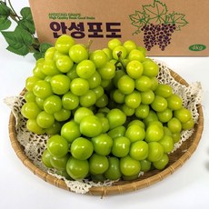 [해담]안성포도 샤인머스켓 2kg(가정용) 실속형 고당도 포도 망고포도 산지직송 당일수확, 1박스