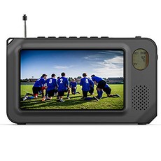 휴대용tv