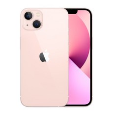 Apple 아이폰 13 자급제