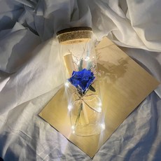 프렌치로즈 시들지않는꽃 LED유리병 편지지 세트, 블루프리저브드플라워