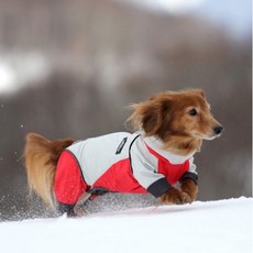 ALPHAICON 알파아이콘 2018 Snow Dog Guard_Bicolor Red /스노우독가드바이컬러레드/ 반려견방한웨어/기능성도그웨어, FPM (프렌치불독&퍼그 M사이즈)
