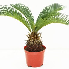 34da764a0c42b2e13317f5e9695cc8ed62d3a2858eaf27f23c528c051593.jpg