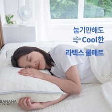 얼음패드