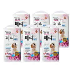 반려동물기초아로마강사