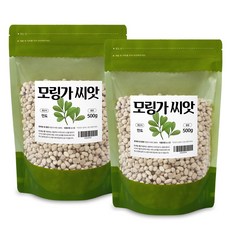 모링가씨앗, 2개, 500g