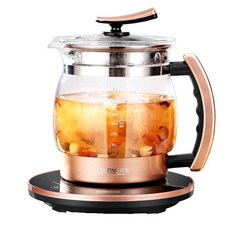 내열유리 대용량 티포트 전기 탕약기 약탕기 인덕션 냄비, 2.5L 찜기+선물 가방