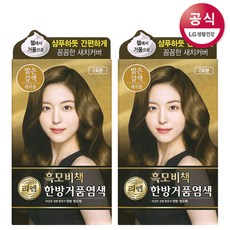 리엔 흑모비책 거품 염색약 밝은갈색 120g x2개, 단품