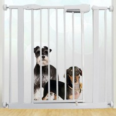 아이핏확장패널