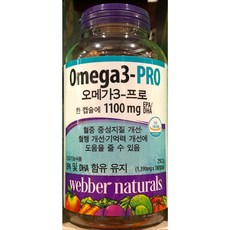 뉴메가리치