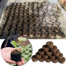 5pcs Jiffy 이탄 펠렛 씨앗 시작 플러그 씨앗 스타터 팔레트 묘목 토양 블록 프로 가든 도구 사용하기 쉬운 30mm|육아용 쟁반 & 뚜껑|, 1개, 단일