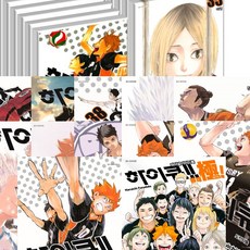 하이큐파이널가이드북