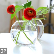 유리 수경 화분 세트(2P) - 화병 꽃병 유리병 재배 식물 책상 거실 실내 인테리어 투명화분 플라스틱화분 식물
