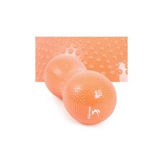 임산부기구필라테스.책