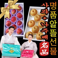 명절 추석 설 사과+배 혼합과일선물세트 알뜰형 고급형 제수용 나주 신고배 꿀당고 아삭한 배 사과 7.5kg 8kg 10과 1박스 백화점 기업 회사 선물용 외박스 포장, 고급형_나주배5kg+사과3kg, 1개