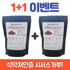 [운동하면뭐하니] 시서스가루 리뷰후기
