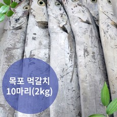 목포 갈치 생물 먹갈치 실속형(10마리 2kg) 가정용(5마리 1.4kg)