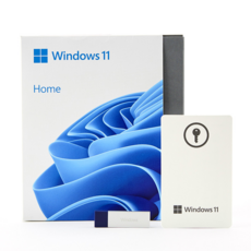MS Windows 11 Home FPP USB 