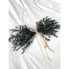 유칼립투스파블로