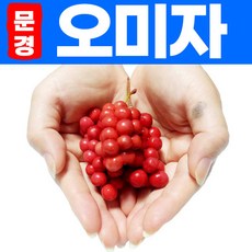 문경액티비티