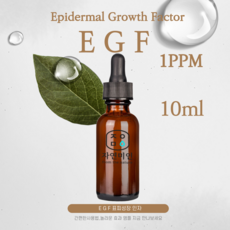 에코문 EGF 1ppm 10ml /나노 이지에프 앰플 원액 에센스 리포좀 펩타이드 원료, 1개 - 에코문